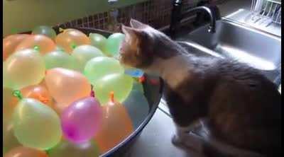 Demonic magic I say!