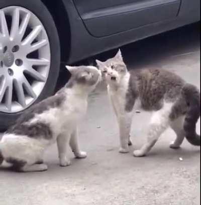 So,No fight just talk! LOL!