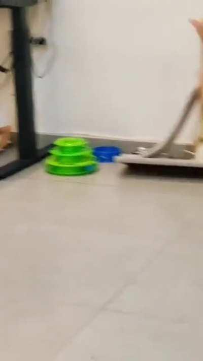 An exorcism is needed