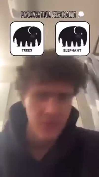 What do you see first?