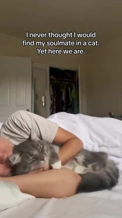 I would never leave my bed