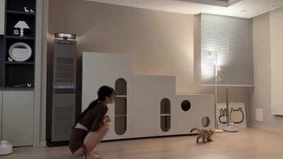 your messy Sexy Korean girlfriend at home - BJ e_seoa ASIAN Streamer