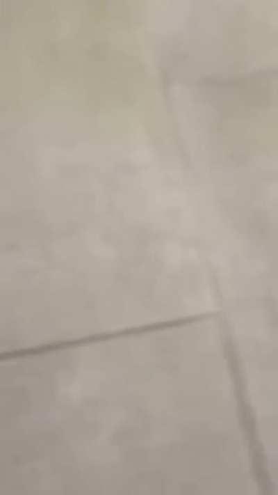 Off The Grid new snippet (singing Carti)