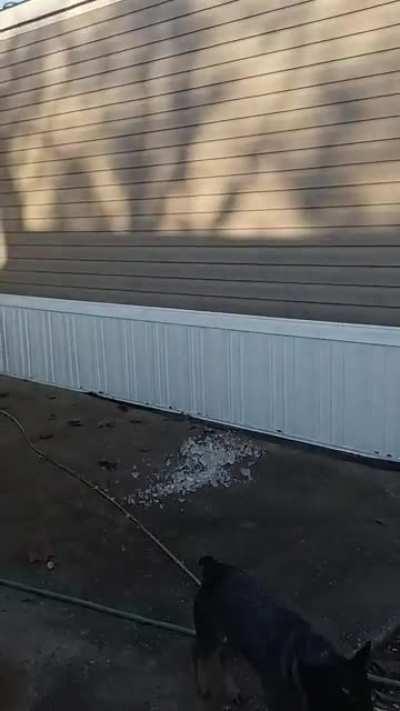 more ice ft. my brother