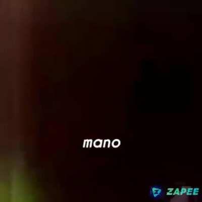 Um cachorro no lago FaMiLiA