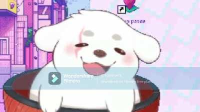 Huntleo fuera de contexto 🐶