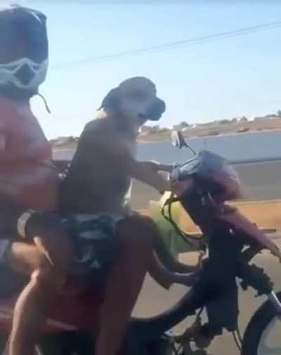 Это фотошоп у него колеса крутятся назад