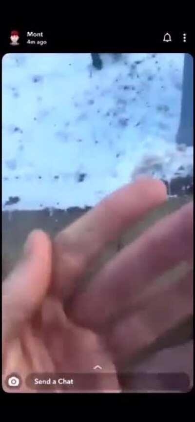 WCGW making food fingers at a wild animal?