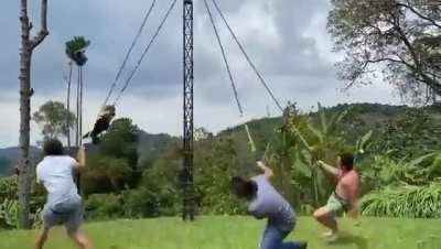 HMC I believe I can fly