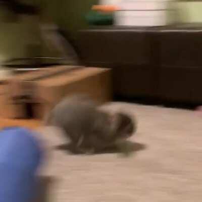 The joy of family and the holidays