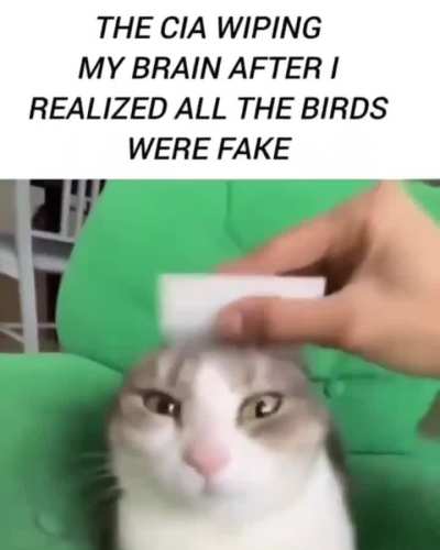 Wunk knew too much. Haha jokes. Wunk didn't know shit 🤭