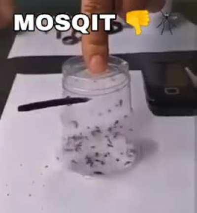 Death to mosqit!