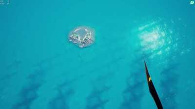 1st time enjoying this bug!