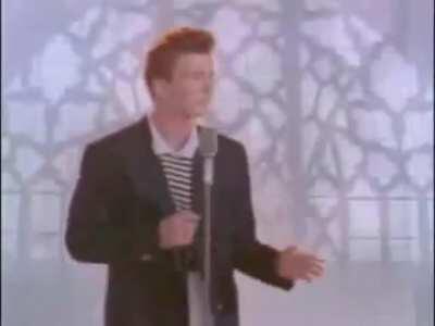 Look at these cute cats!