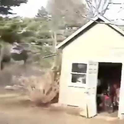 Jumping on a trampoline with a skateboard