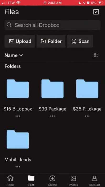 Pretty Snowbunny Dropbox packages $10