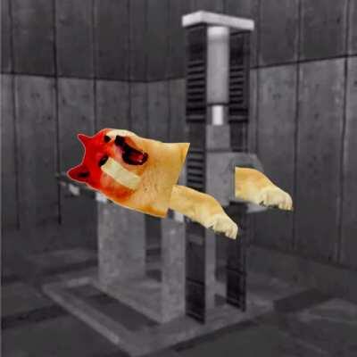 Doge in the femur breaker