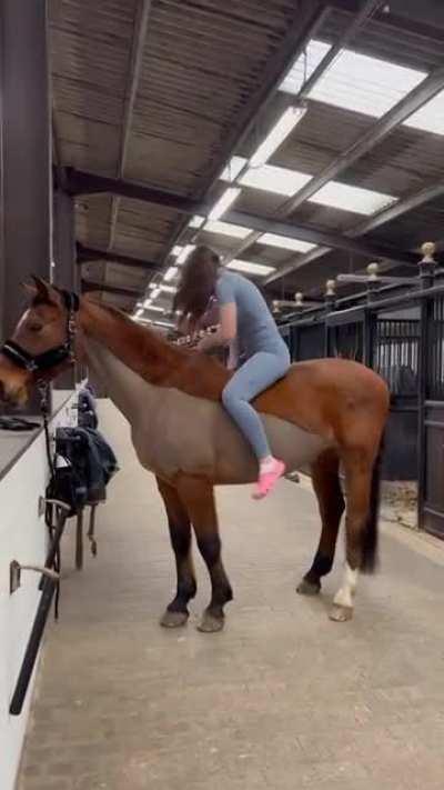 Caballeros, nos volvemos a reunir.