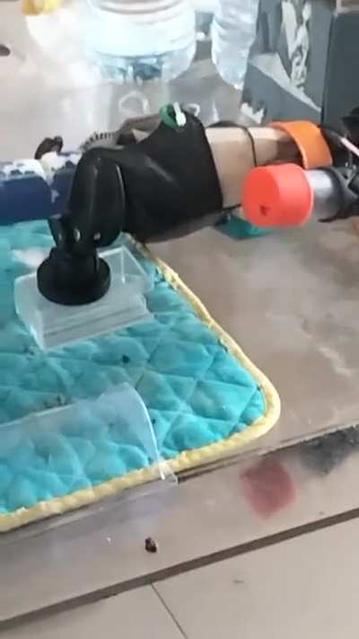 for me a cloak. please. mimetik. and some chicken burger.