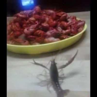 Alive but at what cost