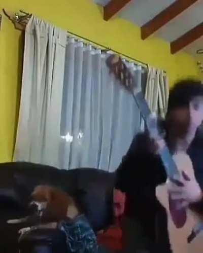 Pa cuando Reddit tiene talento?