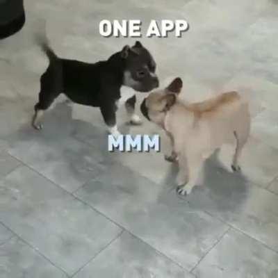 Plans of post quarantine players!