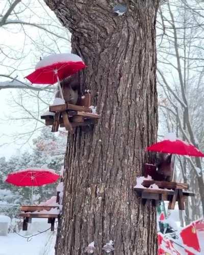 Три бразильских ореха за четвёртый столик!