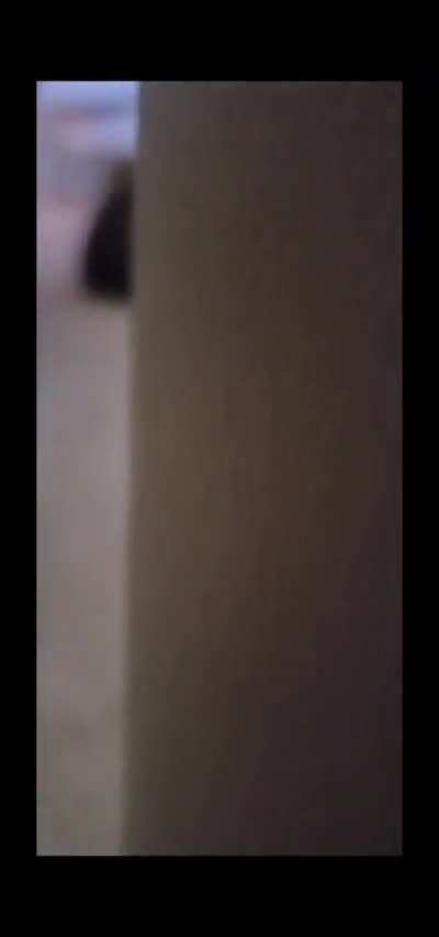 For Halloween 🎃 he wants to be called: Michael 