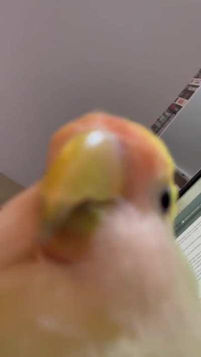 Suspicious…🕵️