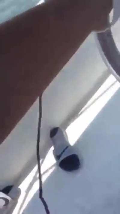 And the Darwin award goes to...