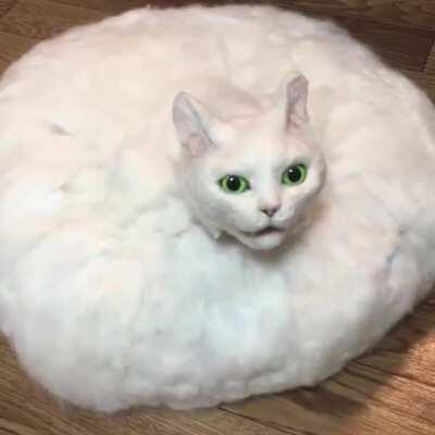 Thanks, I hate whatever this is