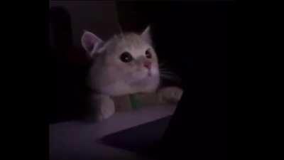 How it feels playing against a Strix