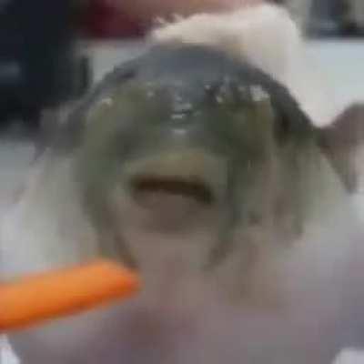 Oh we're posting these?