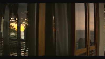 Tessa Ia doggy in Narcos Mexico