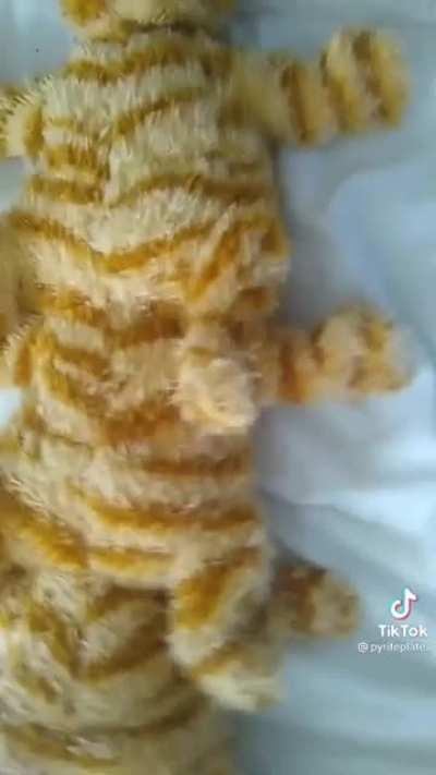 i can’t help it, i’m a slave to my passions (@pyriteplates on tiktok)