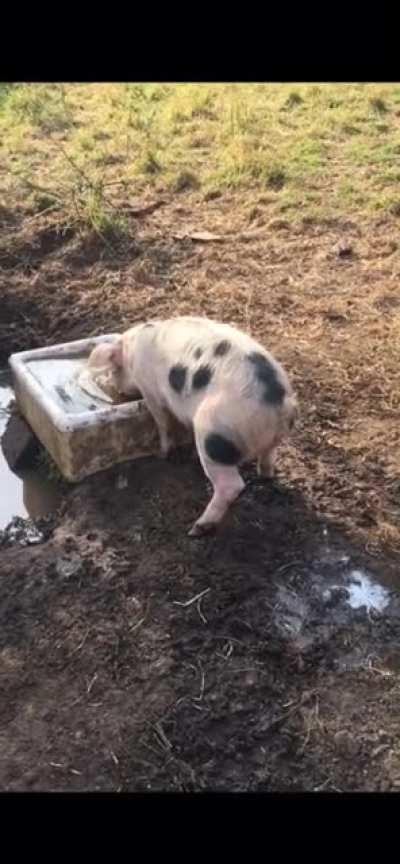 Blursed Water Fountain.