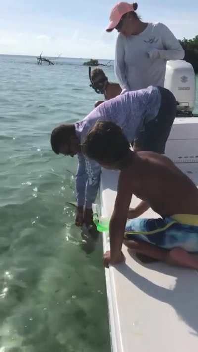 High pitch scream cut