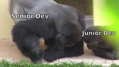 Is it a bug, or just a whiskered feature?