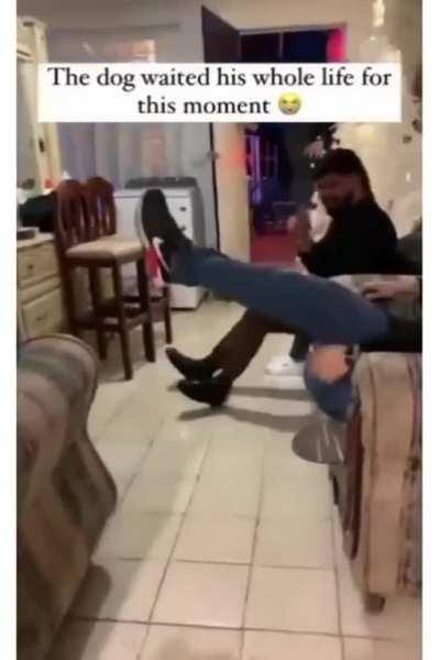 The life and soul of the party