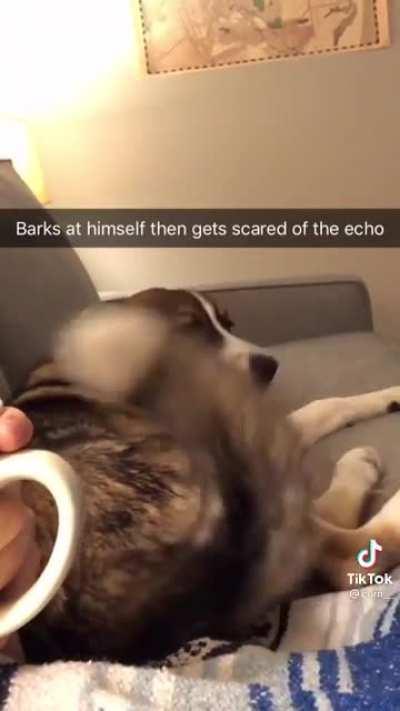 Demons inside his head!