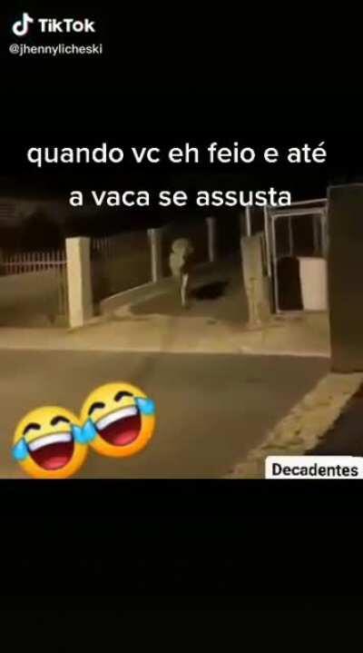 Piada sobre o video: Ele deve ser o boi da cara Preta kkk