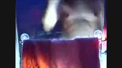 Drinking in the shover