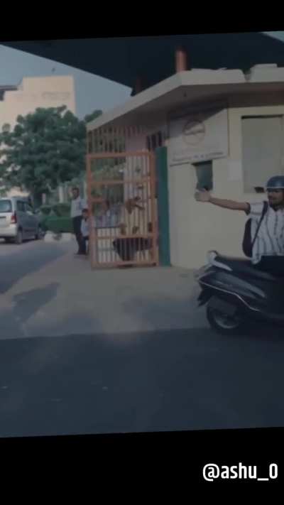 The feminist who banned bananas