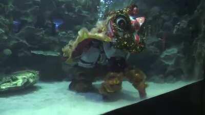 Lion dance underwater in Malaysia