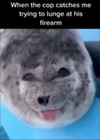 Always lunge for the gun