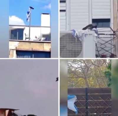 Anti-occupation by instinct.