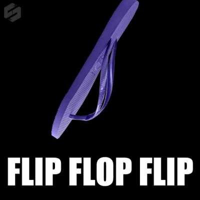 Based on monki flip meme