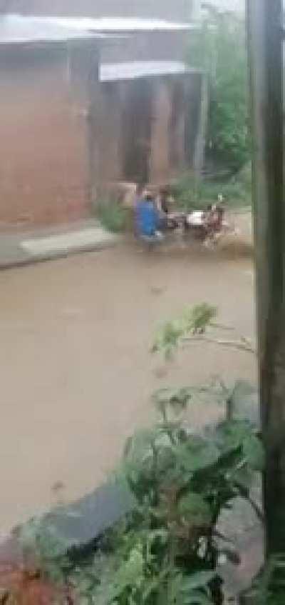 WCGW if I try to cross the street