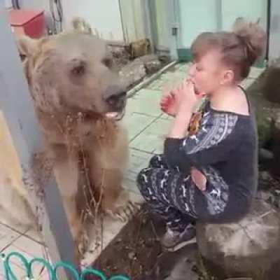 Another friendly bear...