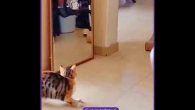 Woah, woah. Who's this?